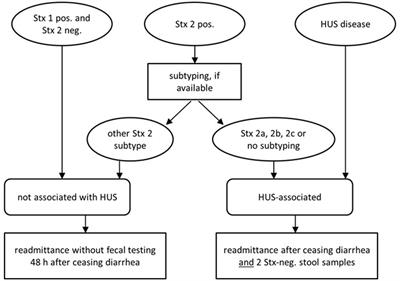 Do asymptomatic STEC-long-term carriers need to be isolated or decolonized? New evidence from a community case study and concepts in favor of an individualized strategy